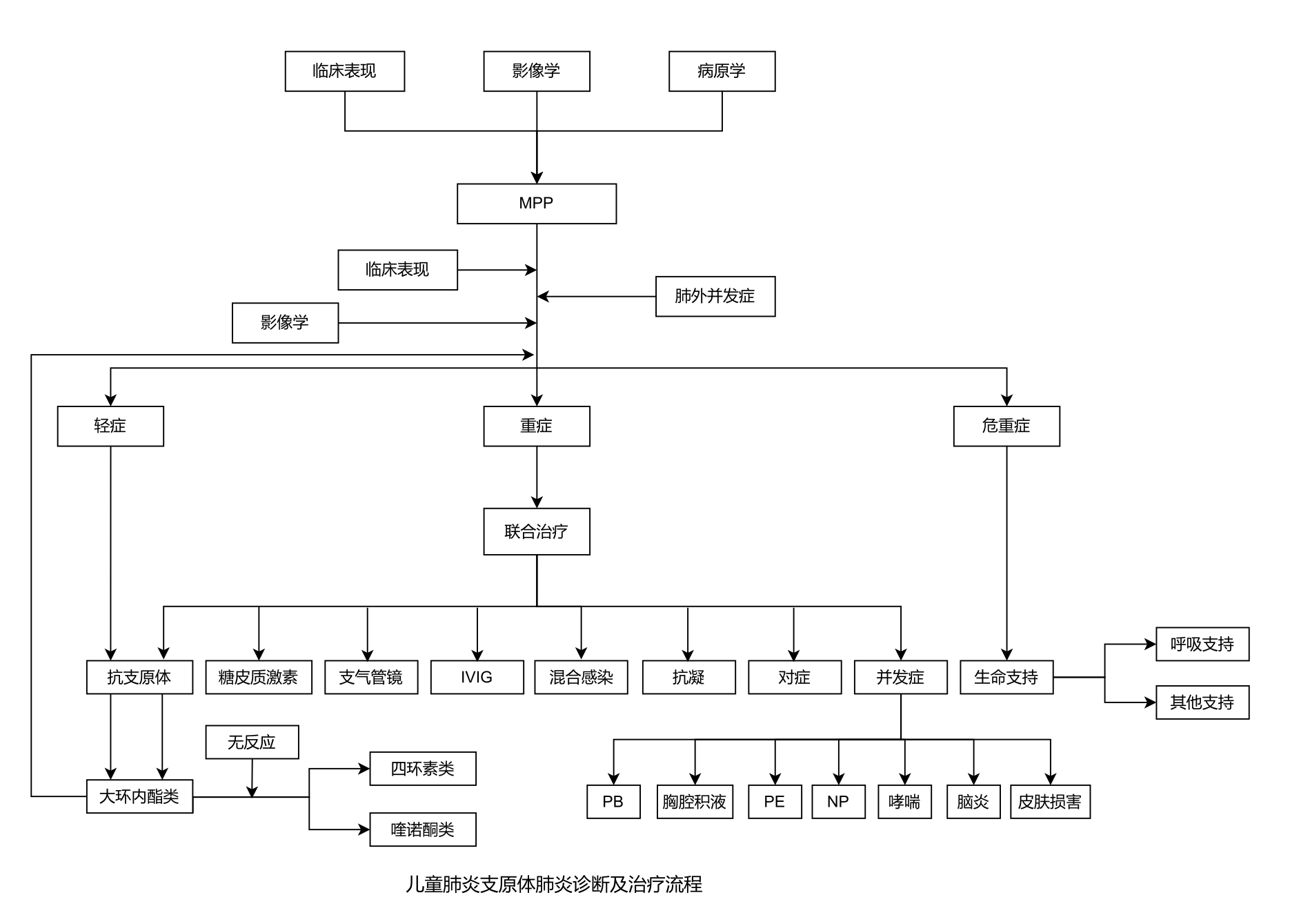 MPP诊疗流程图.png